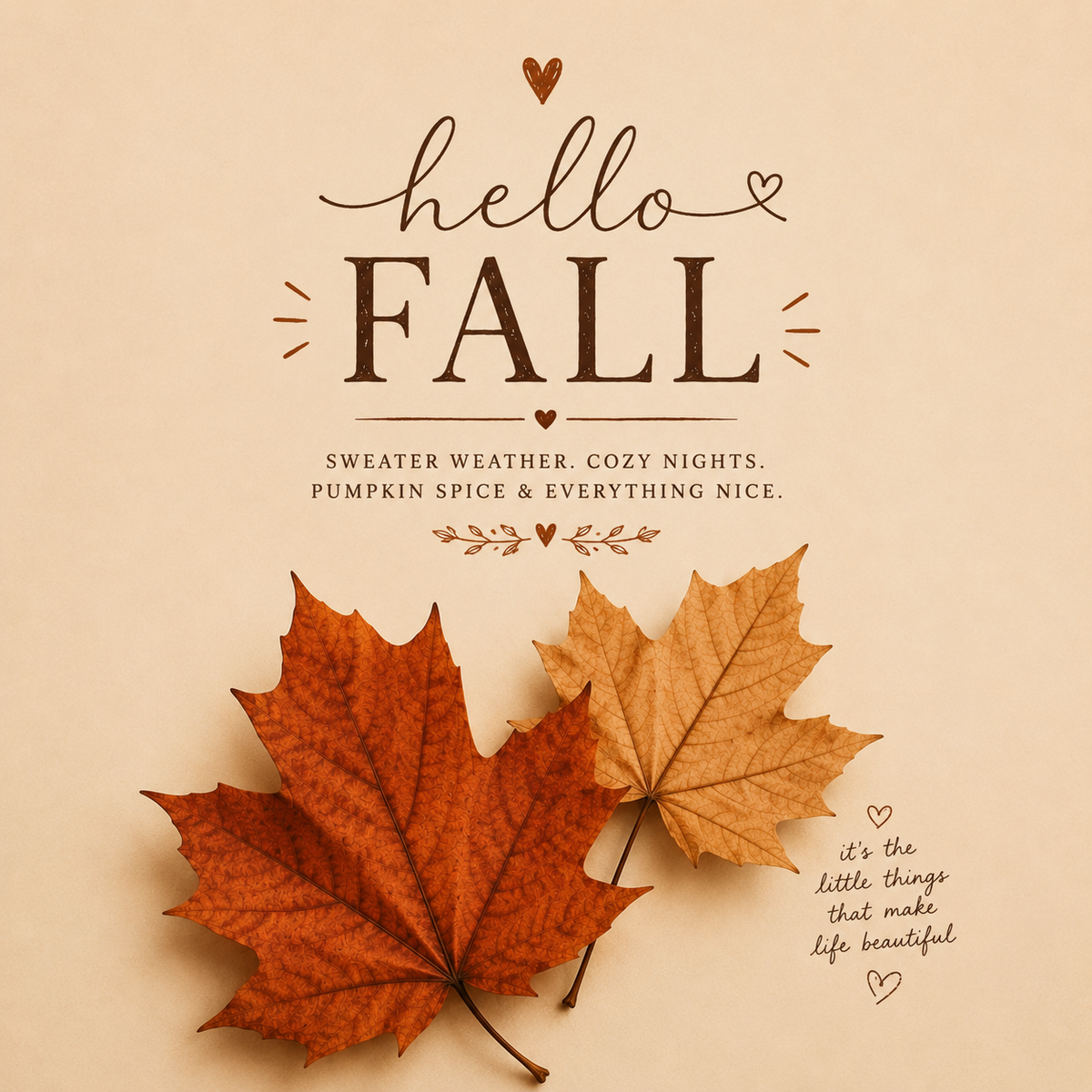 Fall Favorites
